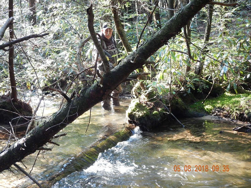 DSCN3174.jpg - Mike working one of the many holes in the stream.