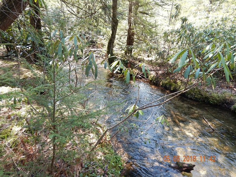 DSCN3178.jpg - Nice stretch of stream...no fish.