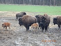 DSCN3135