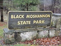DSCN3140
