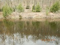 DSCN3146