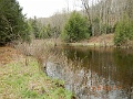 DSCN3147
