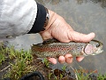 DSCN3150
