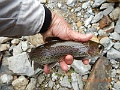 DSCN3157