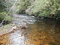 DSCN3158