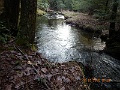 DSCN3165