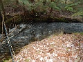 DSCN3166