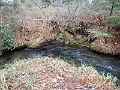 DSCN3168