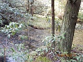 DSCN3172