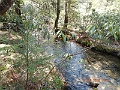 DSCN3178