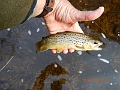 DSCN3186