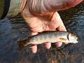 DSCN3190