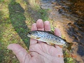DSCN3191