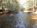 DSCN3195