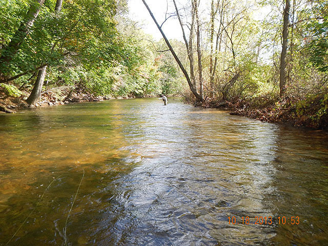 DSCN0171.jpg -                                A scenic look at the stream.  Think that's Gary E a ways down there.