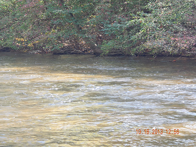 DSCN0180.jpg -                                The water was still moving pretty swiftly from the rain several days ago.