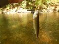 DSCN0172