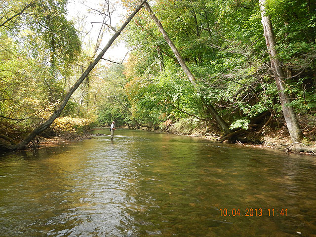 DSCN0147.jpg -                                