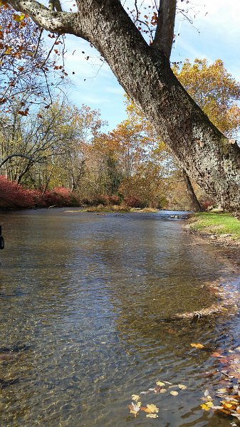 20161108_104916.jpg - Breeches low and crystal clear.
