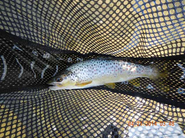 025.jpg -                                We both missed a few and caught one.