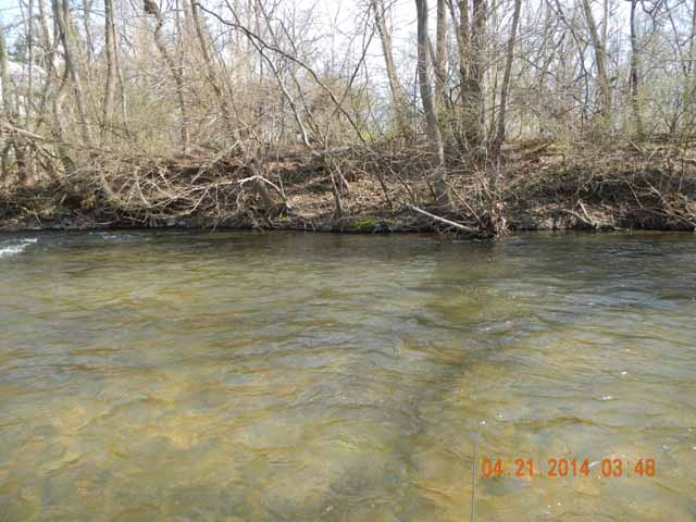 026.jpg -                                Water was just the right height and just a little off color.