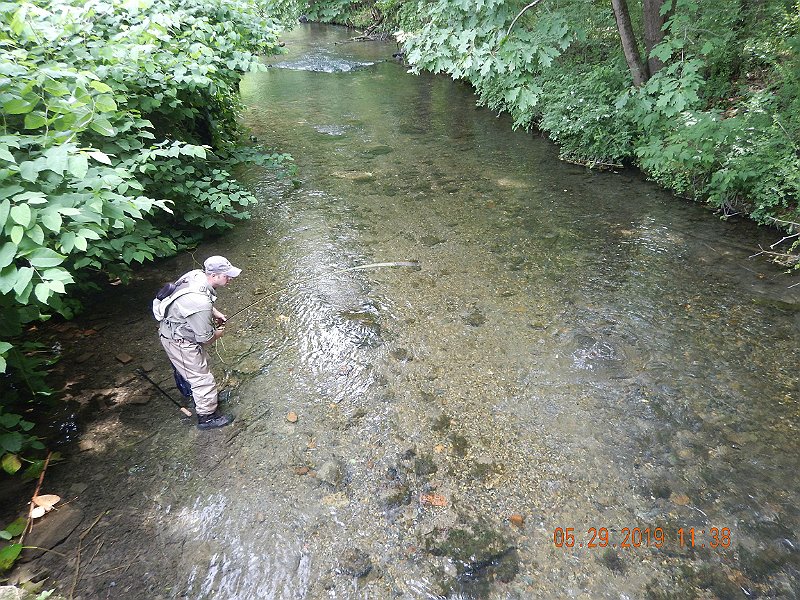$YellowBreeches1003$.jpg - Water looks low but it is so clear the depth was deceiving.