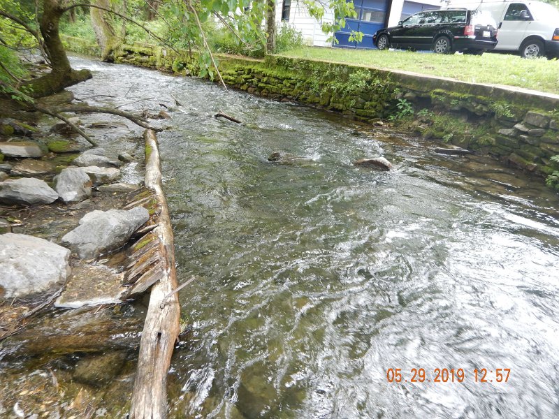 $YellowBreeches1010$.jpg - This was down stream of the fast water.  Didn't get a chance to fish this stretch...guess, in hindsight, I should have.