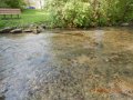 DSCN0281