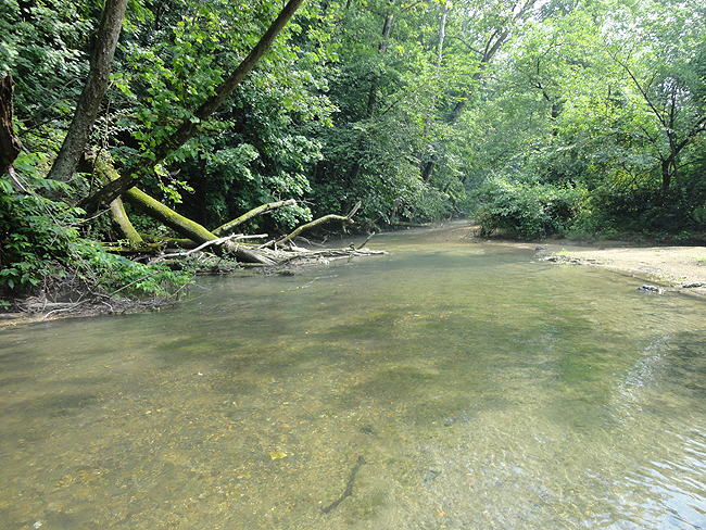 DSC00207001.jpg - Towards the main stream