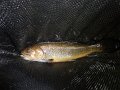 DSC00209001