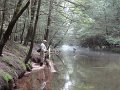 DSC00211001