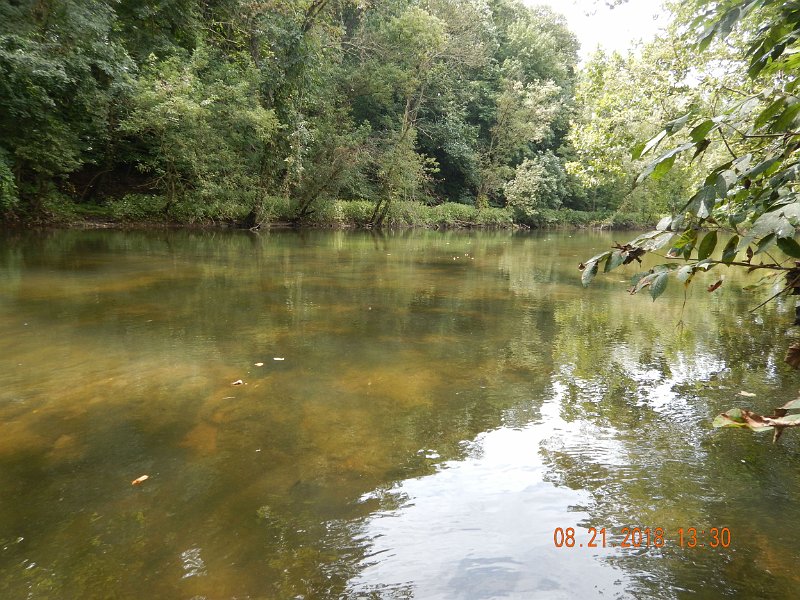 $Clarks Creek-001$.jpg - Gary got two browns but nothing hitting the surface.  This has been a tough year for fly fishing.