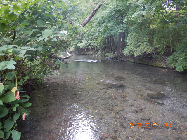 DSCN0639.jpg -                                I is a beautiful place and it was full of fish.