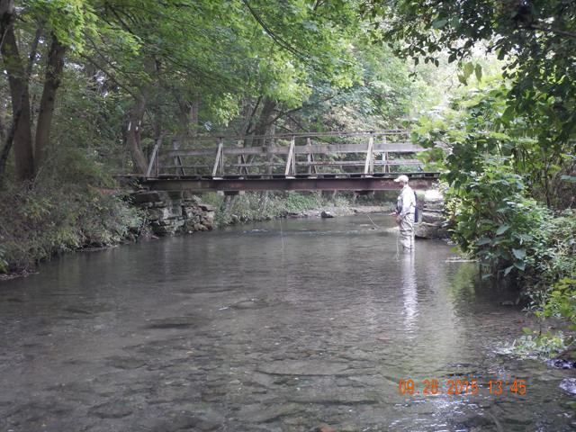 DSCN0650.jpg -                                Gary had a honey spot at the bridge.  We pretty much had the place to ourselves.