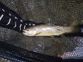 DSCN0642