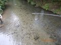 DSCN0644