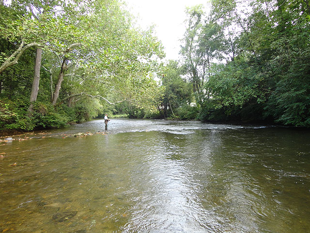 DSC01156.jpg -                                Behind Allenberry looking down stream.  Only one other guy there.