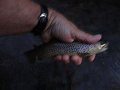 DSC01176