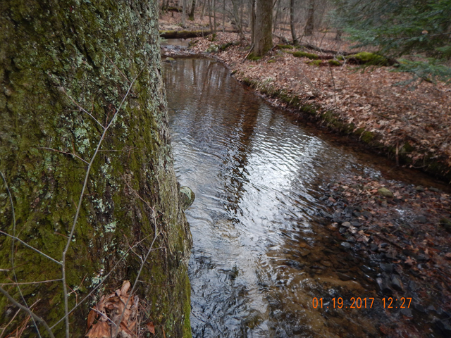 DSCN1824.jpg -                                Water levels are up a bit but we still need more.
