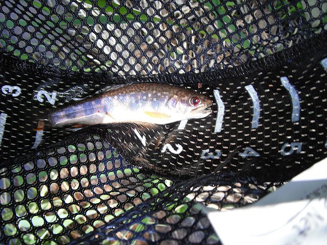 DSCF0345.jpg