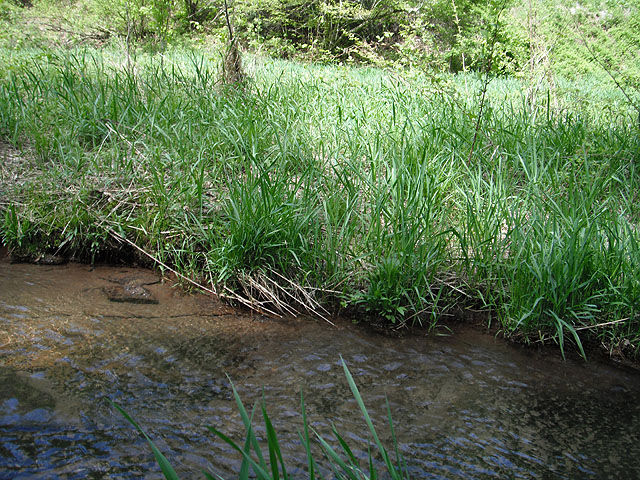 DSCF0349.jpg