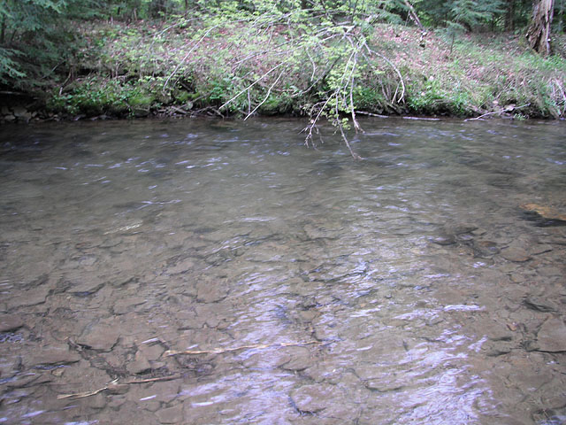 DSCF0357.jpg