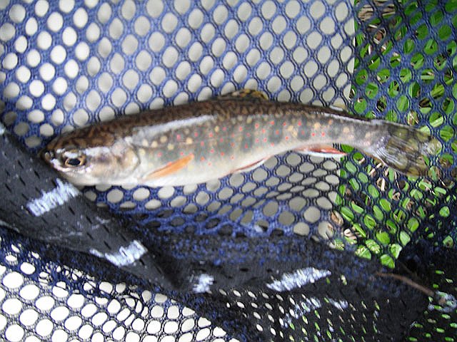 DSCF0359.jpg