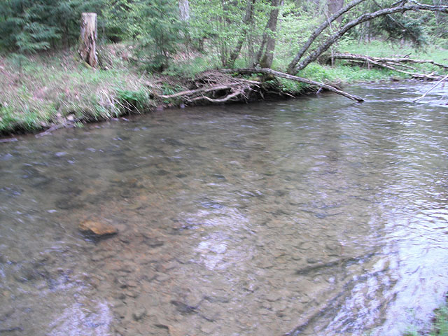 DSCF0361.jpg