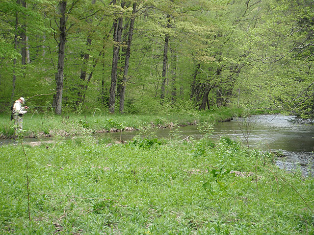 DSCF0364.jpg