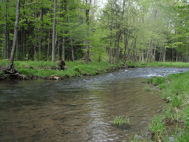 DSCF0374.jpg