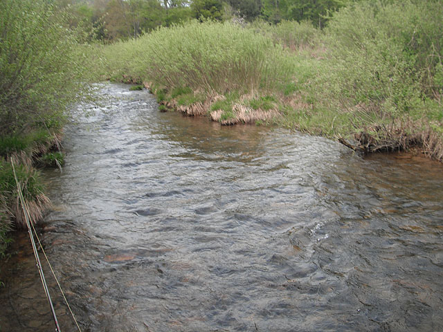 DSCF0380.jpg