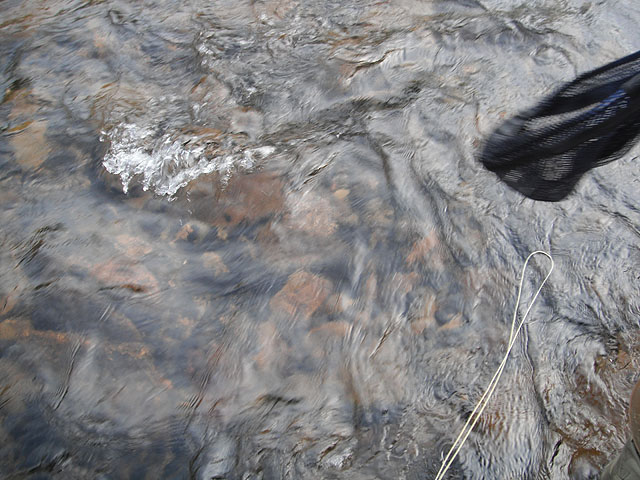 DSCF0385.jpg