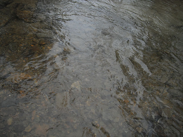 DSCF0388.jpg