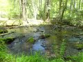 DSC01549